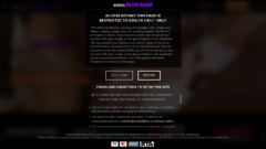 interracialblowbang.com