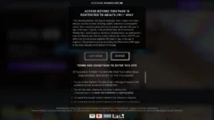 lethalhardcorevr.com